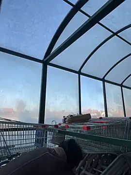 MiraReach online show from 10.15.25