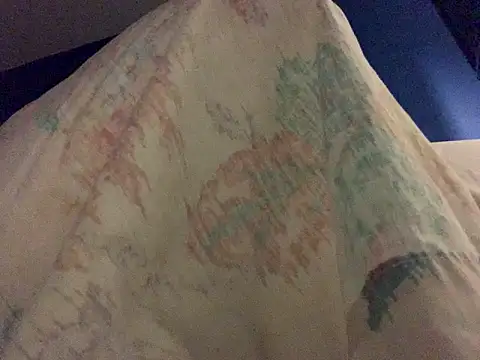 Snapshot of dabeibe chatting on 12.02.25 dabeibe online show from 12.02.25