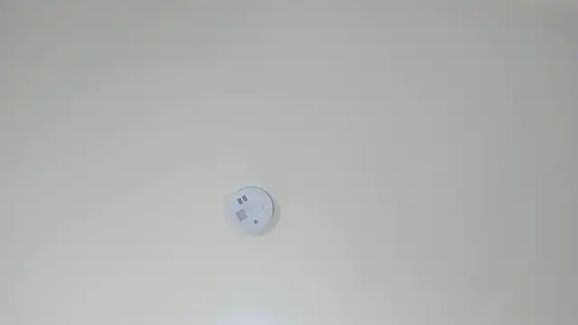 pamemiller1 online show from 10.23.25