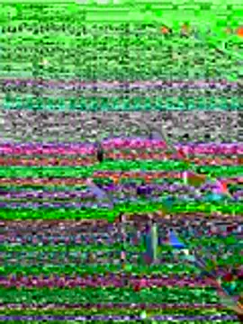 kamo012000 online show from 06.19.26