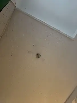 cam11 07 online show from 04.08.26