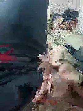 svvagesexyy online show from 01.13.26