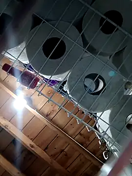 Snapshot of Single_lagunero chatting on 03.16.26 Single lagunero online show from 03.16.26