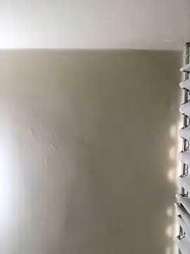 MusaAyla online show from 02.08.26