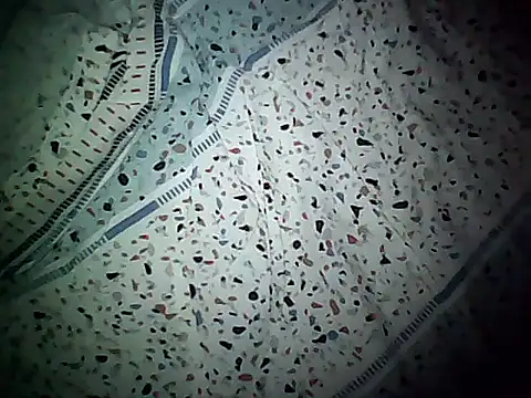 20cmloiro online show from 11.08.25