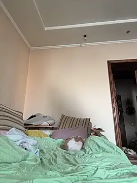 DollyTall online show from 03.19.26