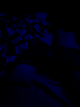 jcwxt online show from 04.27.26