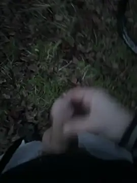 Disturbeeflarge online show from 01.15.26