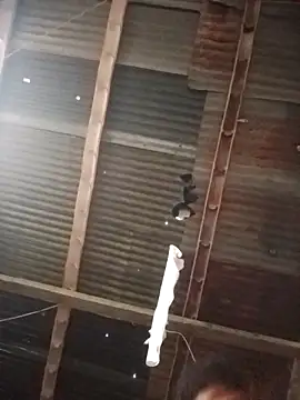 Davir2001 online show from 03.01.26