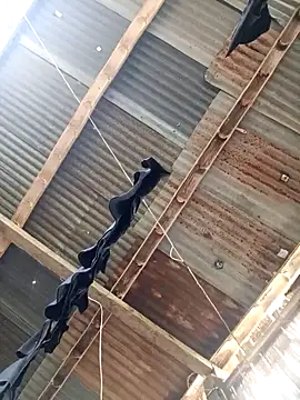 Davir2001 online show from 03.14.26