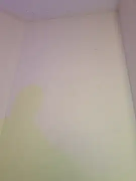 AmaiaSalvatore online show from 10.11.25