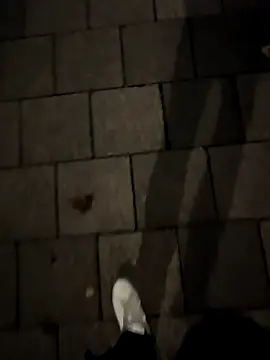 ARTANIS20 online show from 10.22.25