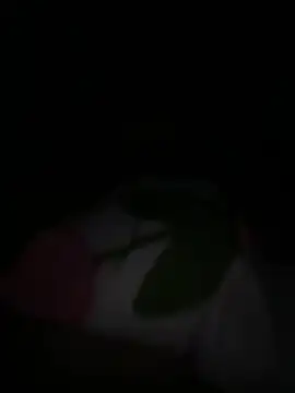 tarantan1993 online show from 03.05.26