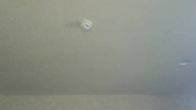 Flossee online show from 04.11.26