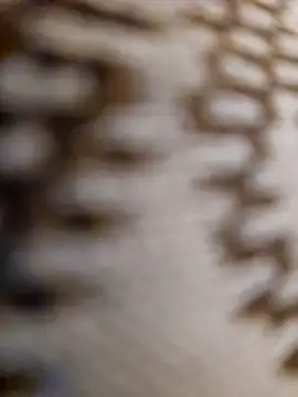 mojaymort online show from 11.11.25