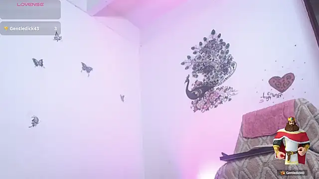 panamared online show from 10.05.25