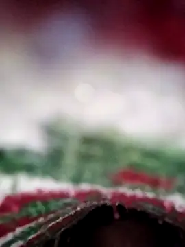 Snapshot of ParousFlow chatting on 02.13.26 ParousFlow online show from 02.13.26