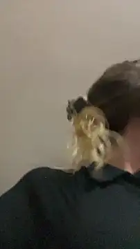 blond-96 online show from 04.03.26