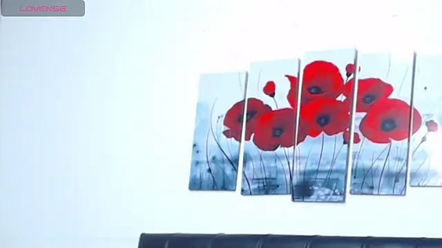 pinky f00x online show from 01.14.26