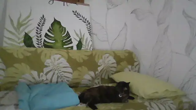 Catty Lady online show from 09.27.25