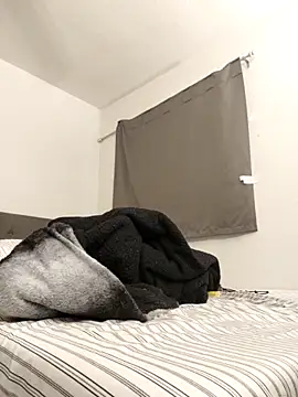 himNIGuys online show from 02.14.26