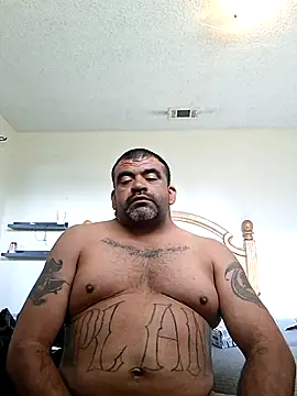 wodash9921 online show from 04.01.26