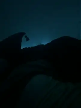 Snapshot of bjarson123 chatting on 02.11.26 bjarson123 online show from 02.11.26