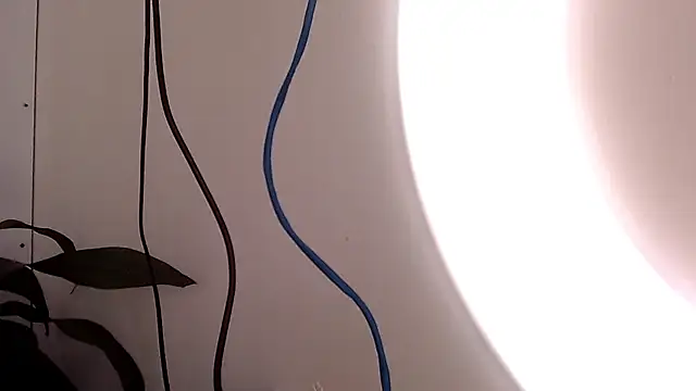 saara johnson496 online show from 09.24.25