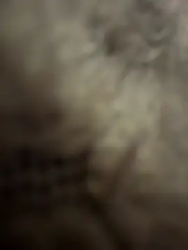 Snapshot of anonimgirl18old chatting on 02.03.26 anonimgirl18old online show from 02.03.26