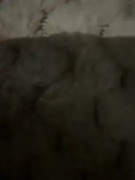 Snapshot of anonimgirl18old chatting on 02.09.26 anonimgirl18old online show from 02.09.26