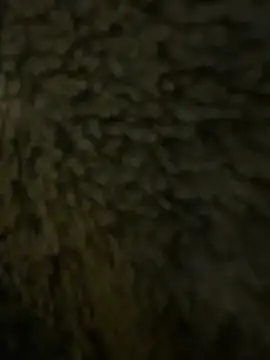 Snapshot of anonimgirl18old chatting on 02.21.26 anonimgirl18old online show from 02.21.26