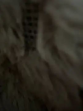 Snapshot of anonimgirl18old chatting on 02.25.26 anonimgirl18old online show from 02.25.26