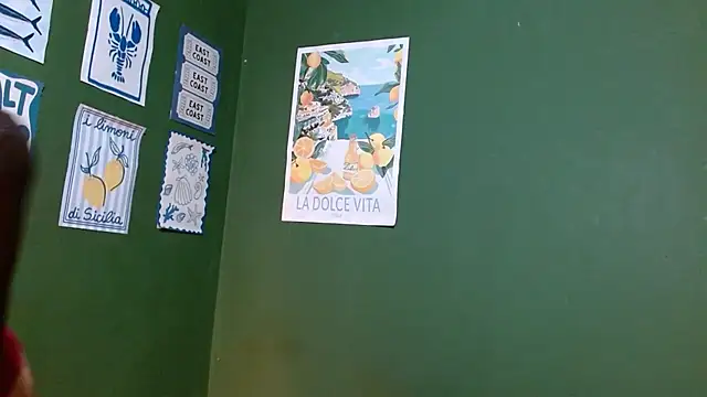 Snapshot of Roxiehood chatting on 02.07.26 Roxiehood online show from 02.07.26