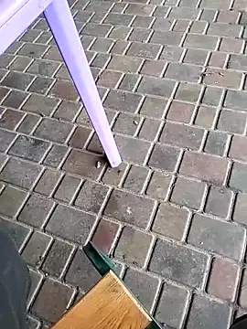 Odecca11 online show from 11.23.25