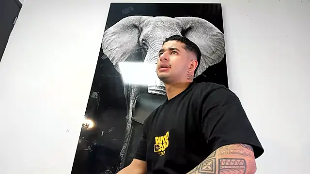 king falconer online show from 10.26.25