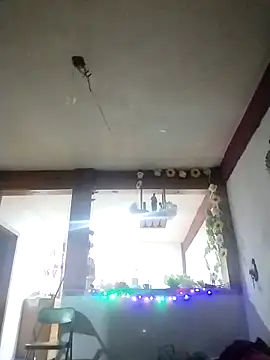 perrotjuui97 online show from 11.15.25