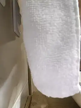 Hiroshi Shen online show from 11.27.25