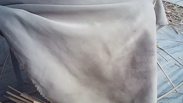 Elisa24 online show from 01.14.26