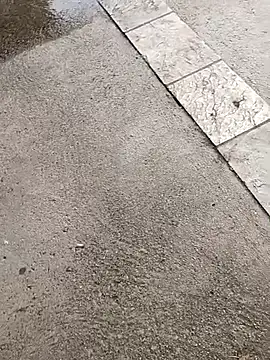 jvdzj-0  online show from 10.19.25