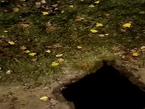 jvdzj-0  online show from 10.29.25