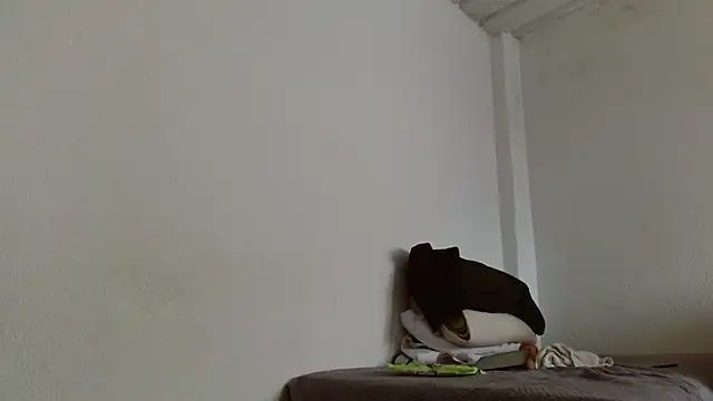 isabel 24 gil online show from 11.13.25