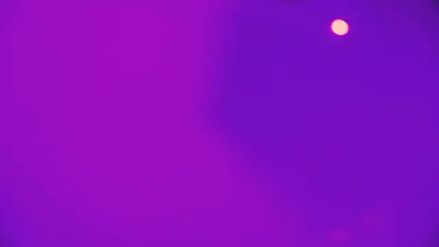 HeidiKendal online show from 02.26.26