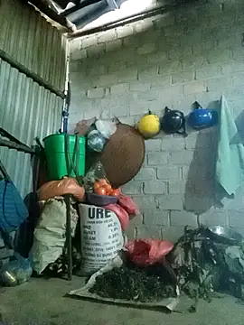 jienrrr online show from 02.18.26