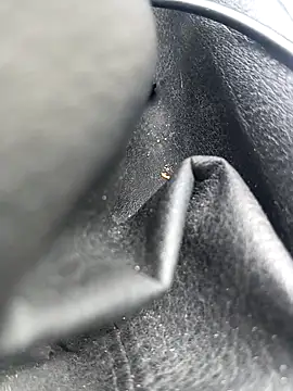 legaros online show from 04.03.26