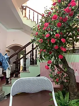 Bollozzy 89 online show from 09.24.25