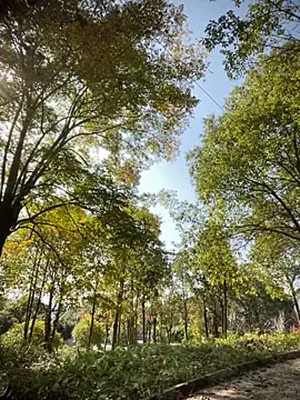 Xiao-meng66 online show from 11.14.25