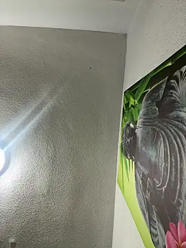 aavrdvh33 online show from 02.03.26