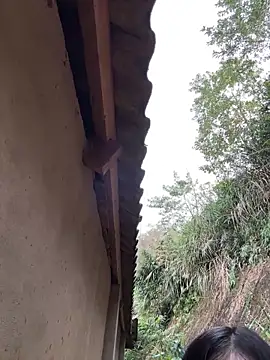 ThiHa003 online show from 02.27.26