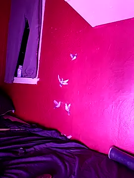 Cnutt310 online show from 10.25.25