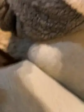 boy8540 online show from 01.19.26